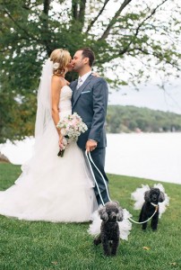 how-to-plan-your-own-wedding-21-dogs-personal-pets